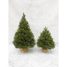 Можжевельник TRIUMPH TREE 100% литой 90 см в мешочке 72217